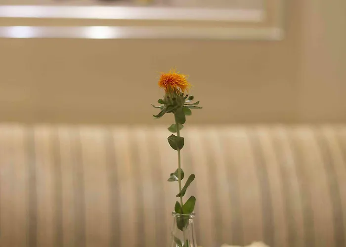 Davitel - Tobacco Hotel Thessalonique